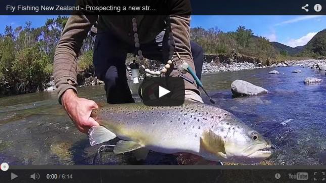 PROSPECTING FOR TROUT