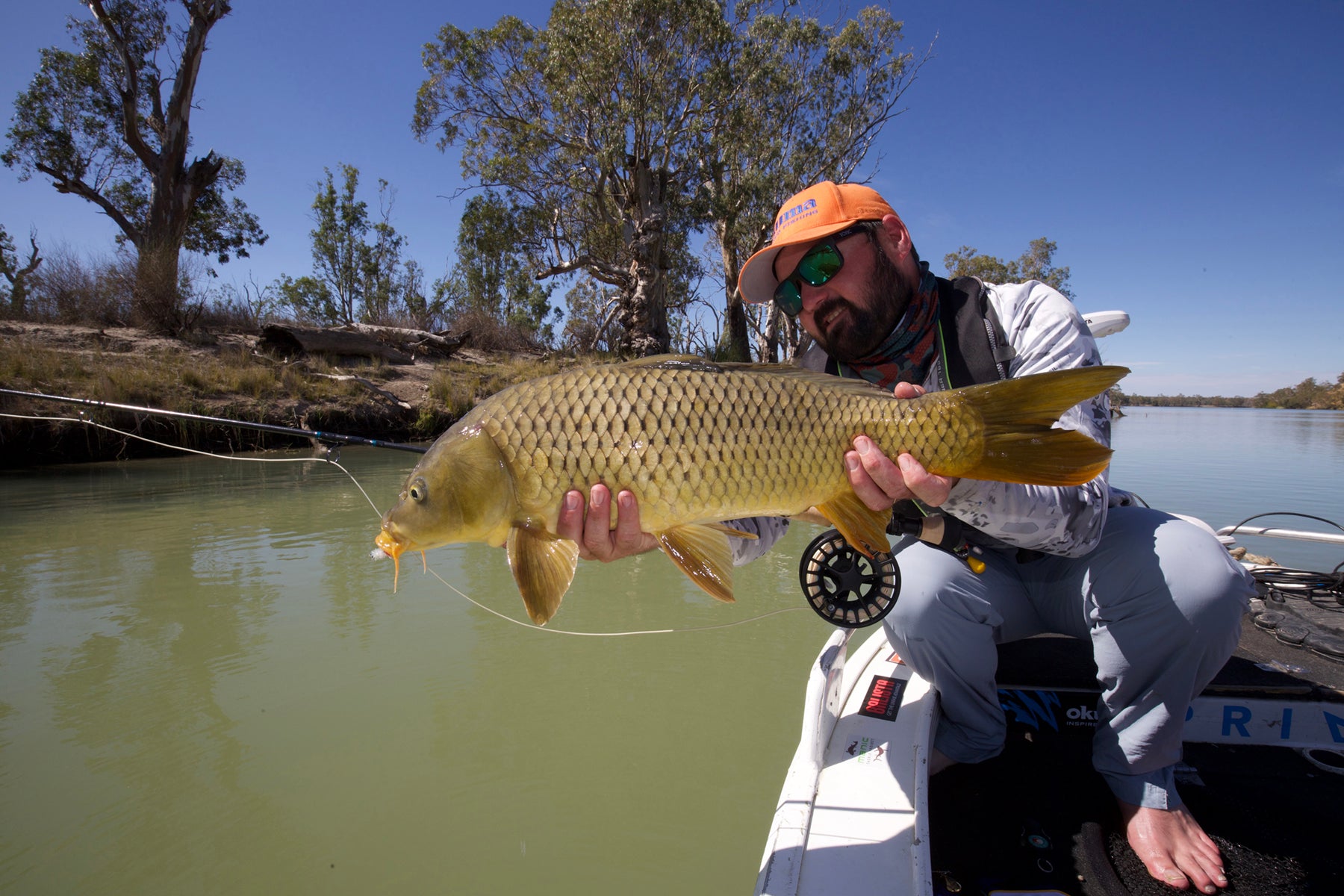 Tactics For Australian Carp On Fly – Manic Tackle Project