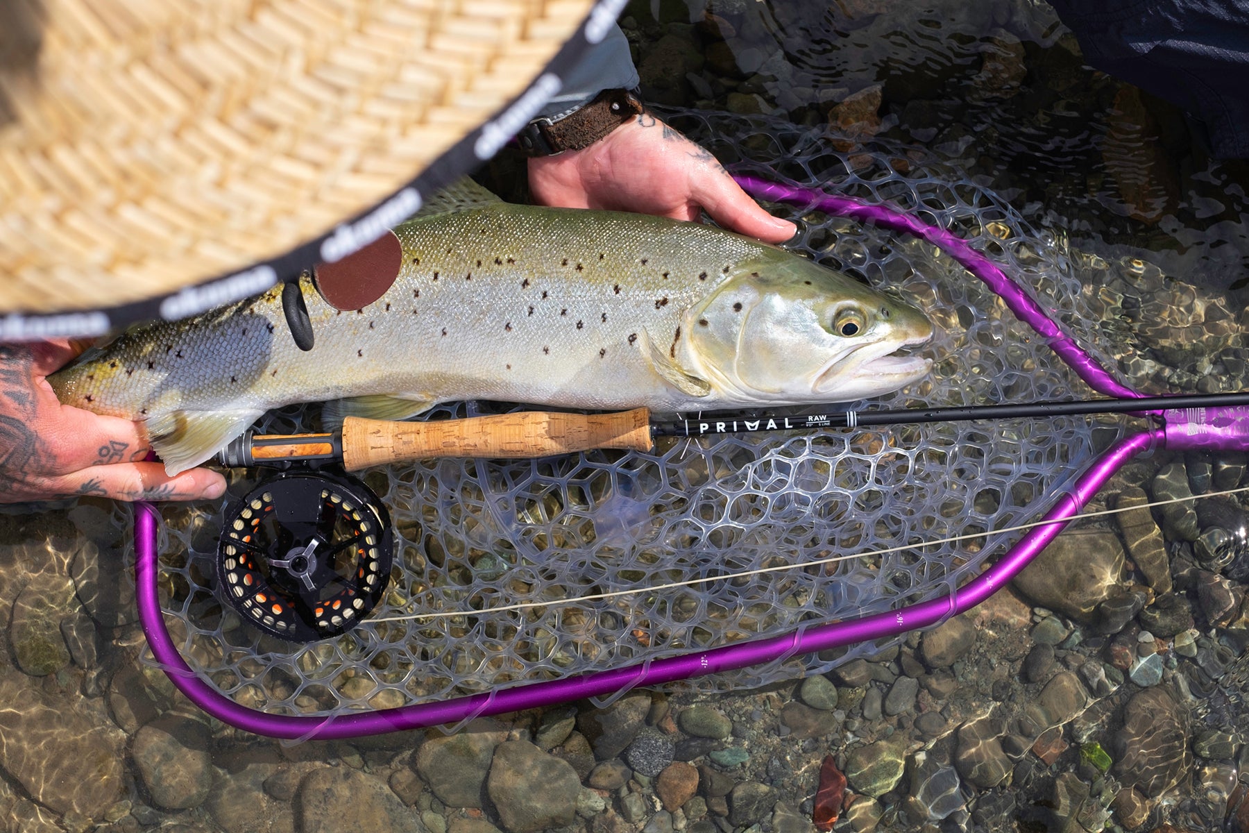 Wild Water 7/8 9ft Freshwater Fly Fishing Combo Review – Gets you started  quickly