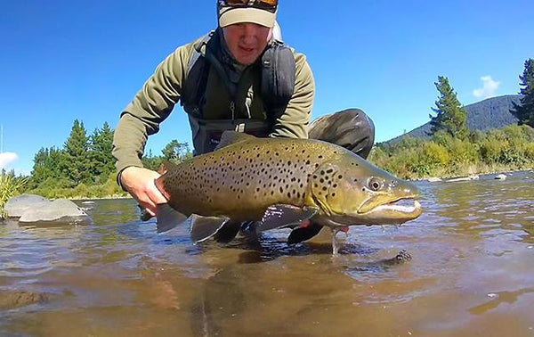 Targeting the Big Summer Browns of the Tongariro