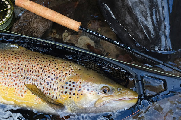 Review | Primal Raw CCC 10’ #6 Fly Rod