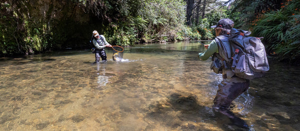 Scott Session Fly Rod | Pro Review