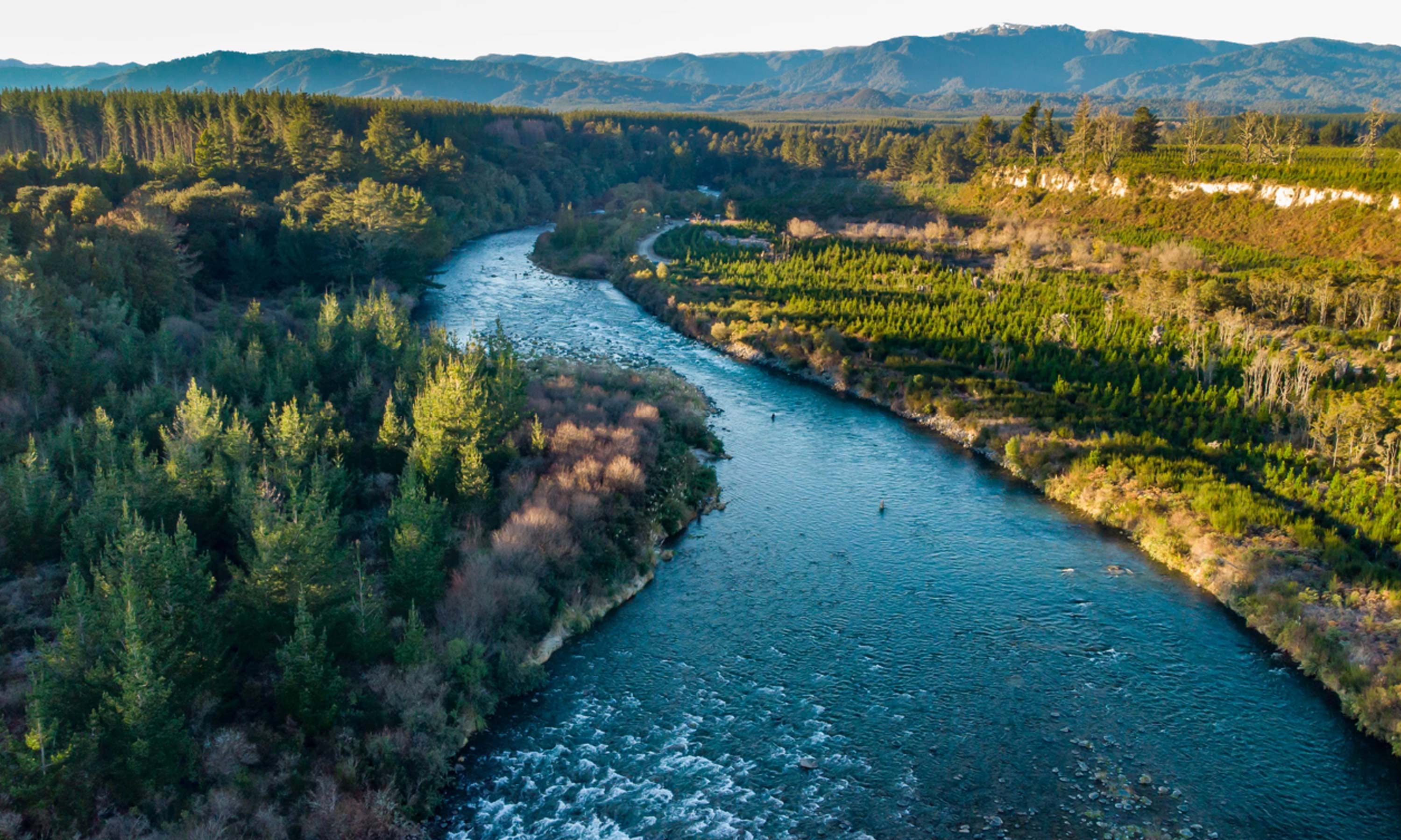 Beginner Tips for Fly Fishing in the Taupo Region – Manic Tackle Project