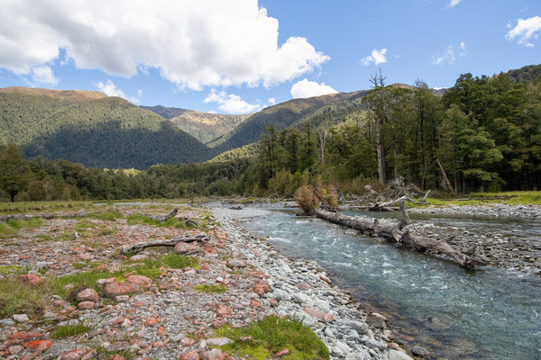 Summer Fly Fishing Preparation