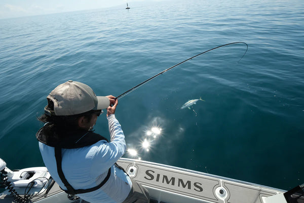 Auckland Marker Kingfish On Fly