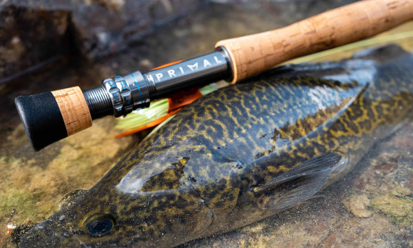 Primal MEGA CCC Fly Rod | Pro Review