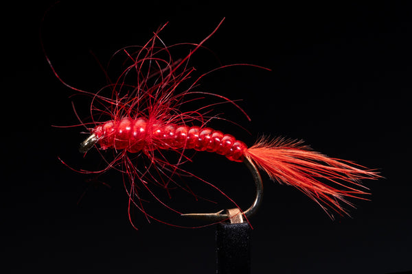 Red Rascal Fishing Fly | Manic Fly Collection