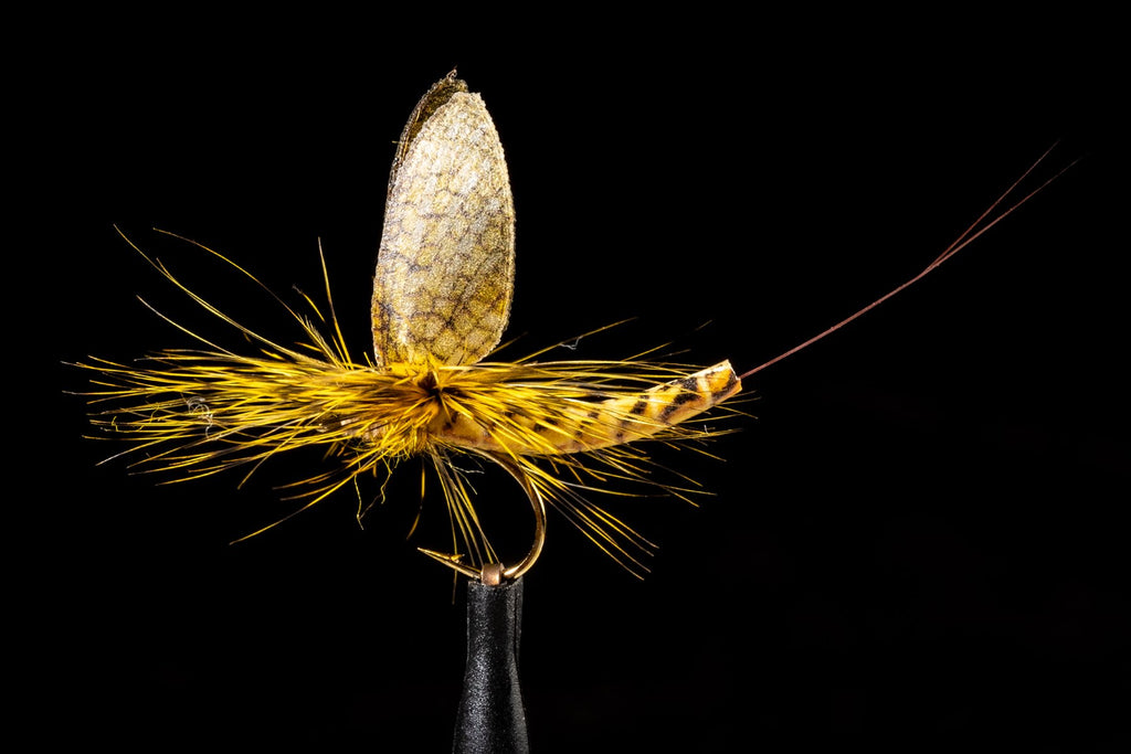 Mayfly Tackle Homepage